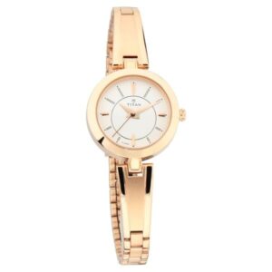 Titan Quartz Analog Silver Dial Metal Strap Watch for Women