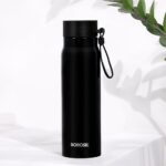 Borosil - Vacuum Insulated Bliss Bottle ? 500 ML