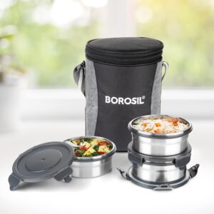 Borosil Stainless Steel Lunch Boxes with Carry Bag Set of 3