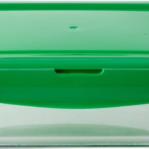 SQUARE FOOD CONTAINER Green