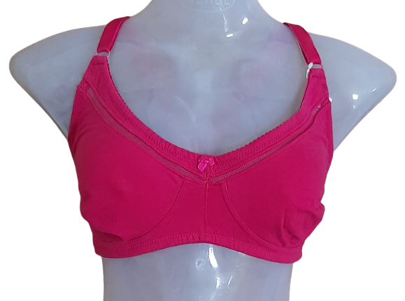 Strawberry Non Padded Non Wired Plunge Neck Seamless Bra