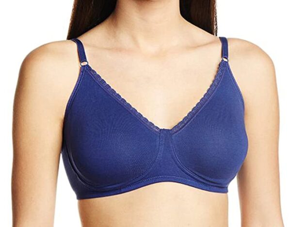 Hanes Women Chic Modern Fit Bra (Pack of 3)