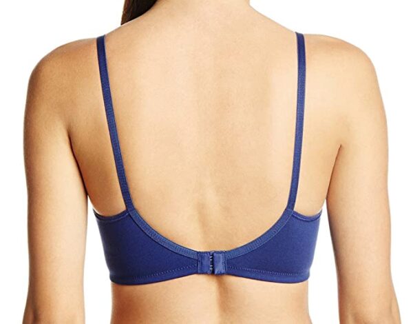 Hanes Women Chic Modern Fit Bra (Pack of 3)