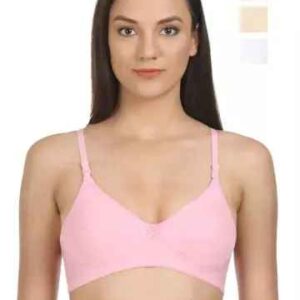 Hanes Women Chic Modern Fit Bra (Pack of 2)