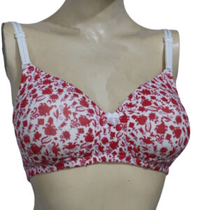 Strawberry Lenceria  Women Printed Padded T-shirt Bra