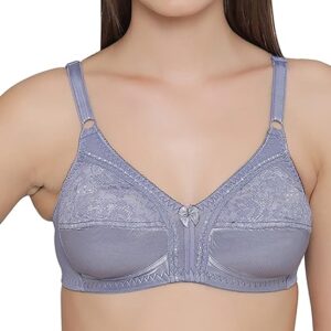 Clovia Women"s Non-Padded Non-Wired Full Cup Plus Size Bra in Grey