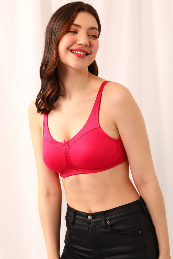 Clovia Non-Wired Lightly Padded Spacer Cup Full-Figure Bra in Hot Pink