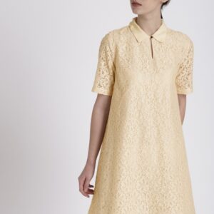 Chemistry Women Self Design A-Line Lace Dress