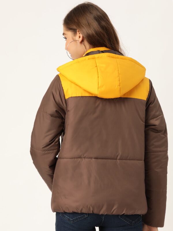 DressBerry Women Colourblocked Hooded Padded Jacket