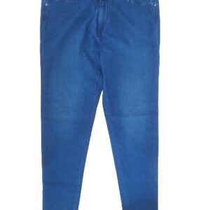 DESI BELLE Women Regular Mid Rise Blue Jeans